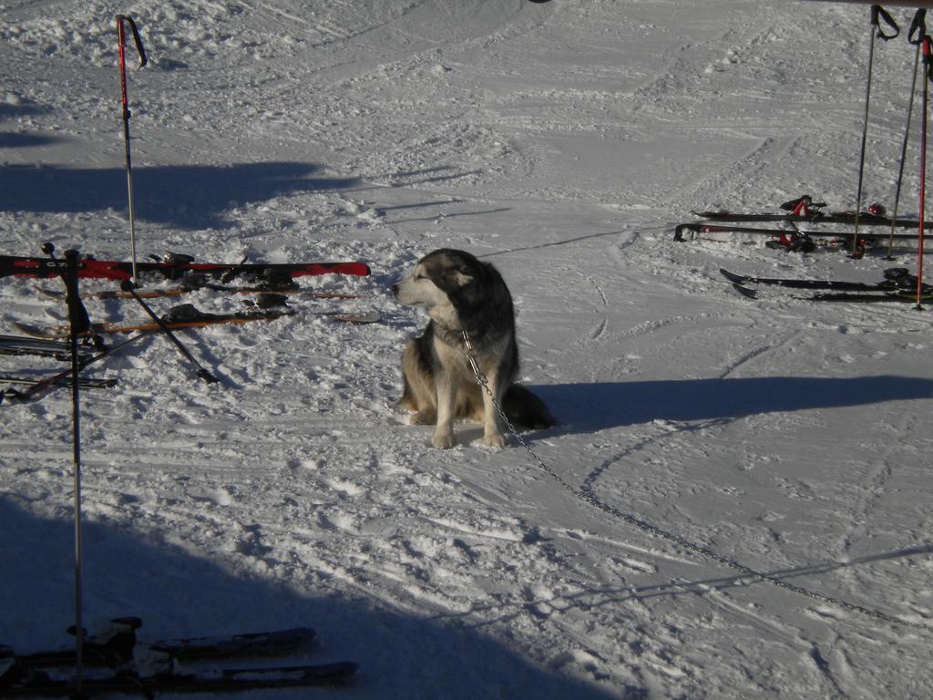 Rifugio Baita Belvedere Champoluc Esterno foto